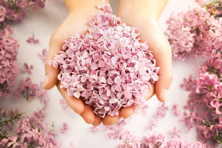 Woman hands with lilac flowers, close upの写真素材