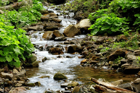 Magnificent mountain river, close upの写真素材