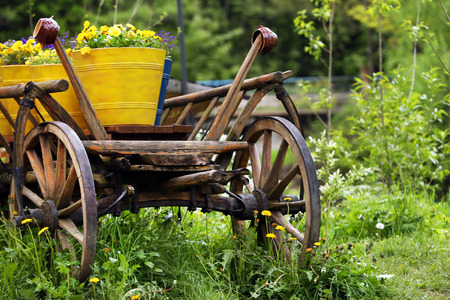 Yellow buckets with flowers in wooden cartの写真素材