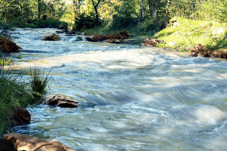 Wide stream in mountain forestの写真素材