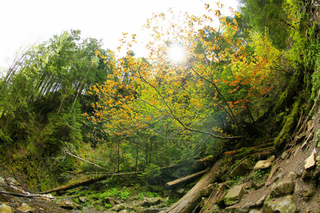 Picturesque Carpathian landscapesの写真素材
