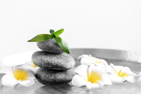 Gray spa stones with plumeria flowers, close upの写真素材