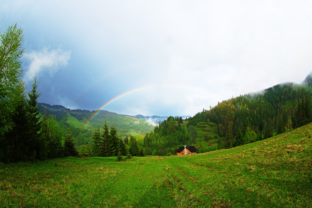 Spring forest on mountain slopesの写真素材
