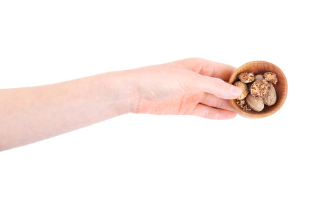 Hand holding wooden bowl with crushed nutmeg isolated on whiteの写真素材