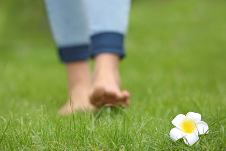 Plumeria flower and female legs on green grassの写真素材