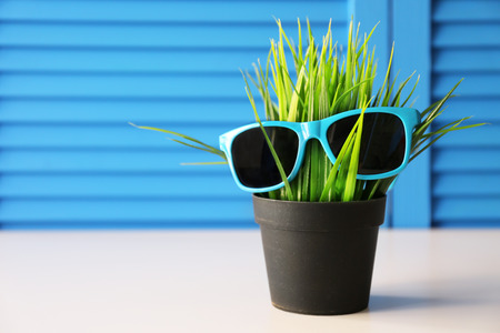 Green plant with sunglasses on blue folding screen backgroundの写真素材