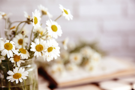Chamomile bouquet in glass vase on blurred backgroundの写真素材