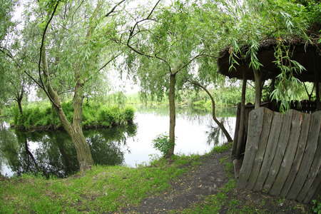 River landscape, closeupの写真素材