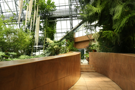 Pathway with stairs in the botanical gardenの写真素材