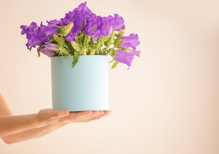 Woman holding box with purple bellflowers on light backgroundの写真素材