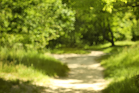 Blurred footpath in park background