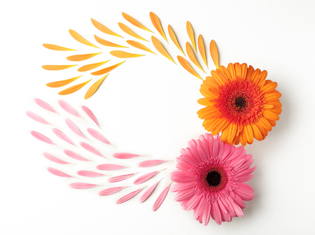 Beautiful flowers with petals on white backgroundの写真素材