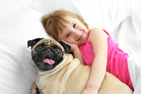 Beautiful girl and cute pug on bedの写真素材