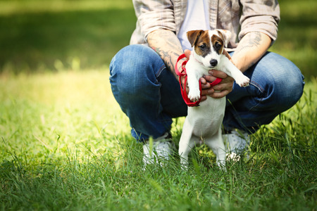 Man with cute dog in spring park