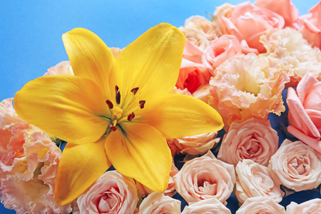 Different flowers, close upの写真素材
