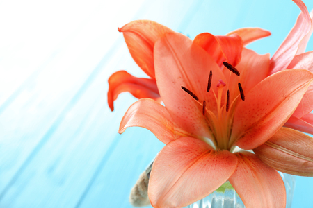 Beautiful lilies in glass on blue wooden backgroundの写真素材