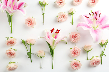 Fresh roses on white backgroundの写真素材