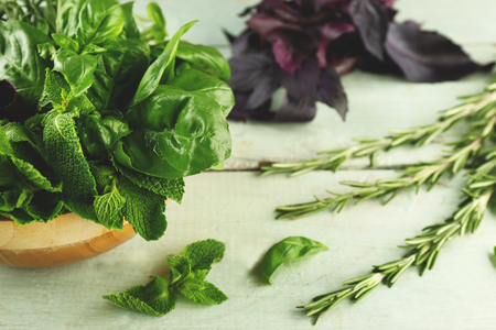 Basil, rosemary and mint herbs on wooden tableの写真素材