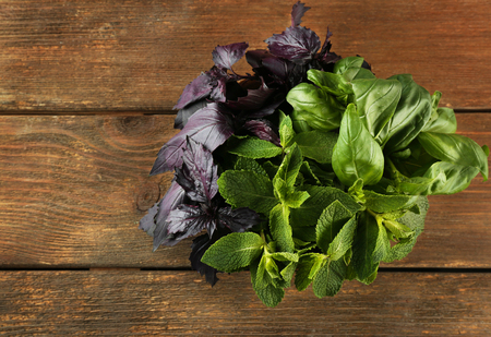 Basil and mint herbs on wooden tableの写真素材
