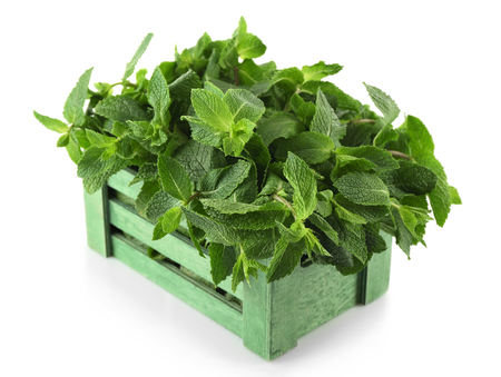 Fresh mint in wooden box, isolated on whiteの写真素材