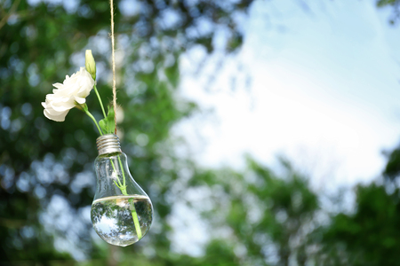 Decorative white flowers in a light bulb hanging on a string