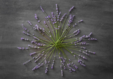 Bunch of lavender on grey tableの写真素材