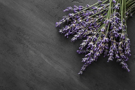 Bunch of lavender on grey tableの写真素材