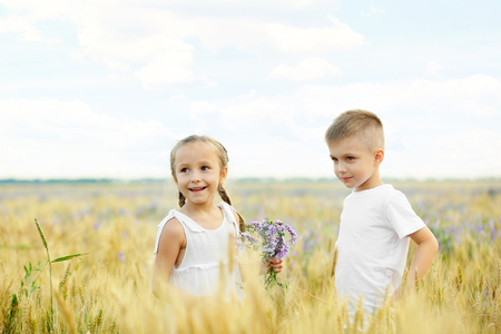 Happy children in the fieldの写真素材