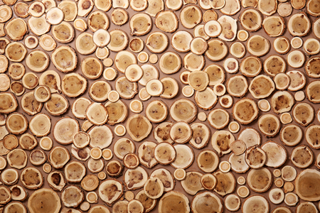 Round timber backgroundの写真素材