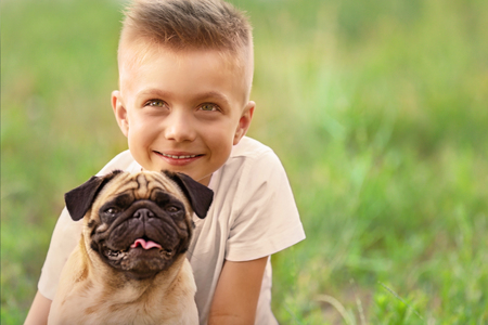 Cute boy with pug dog on green grassの写真素材