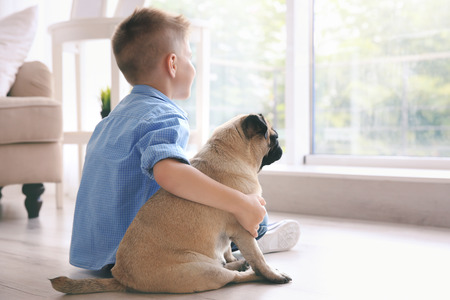 Cute boy with pug dog on floorの写真素材