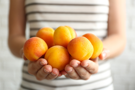 Woman holding heap of apricots, closeupの写真素材