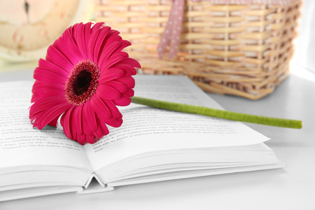 Beautiful gerbera flower on open book, close upの写真素材