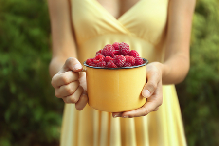 Woman holding fresh raspberries in cupの写真素材