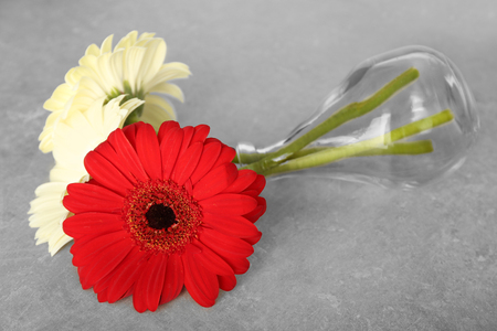 Vase with gerbera flowers on floorの写真素材