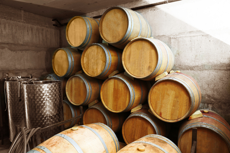 Wooden barrels for wine in cellar
