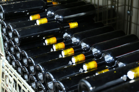 Bottles with wine on shelves in cellar