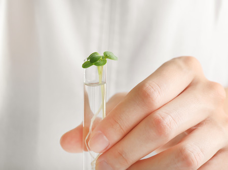 Female hand holding test tube with plantの写真素材