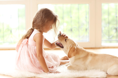 Little girl with golden Labrador dog in roomの写真素材