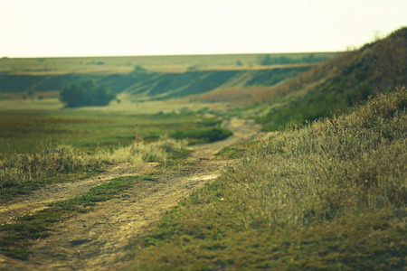 Green field on sunny summer dayの写真素材