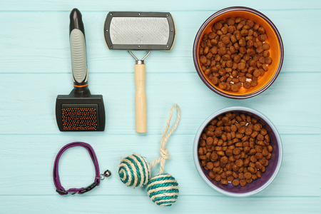 Pet accessories on wooden backgroundの写真素材