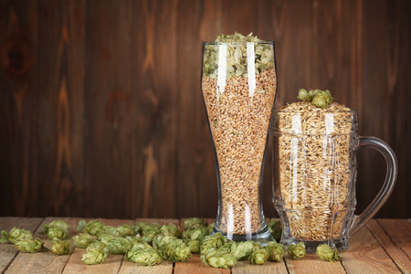 Glasses with beer ingredients on wooden backgroundの写真素材