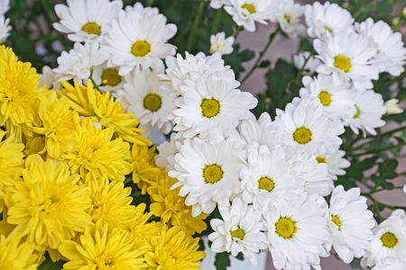 Fresh flowers on display outdoorsの写真素材