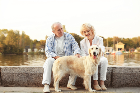 Senior couple and big dog on bundの写真素材