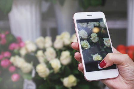 Female hand taking photo of beautiful flowers with smart phone at floral shopの写真素材