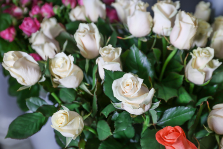 Fresh roses at floral shop, closeupの写真素材