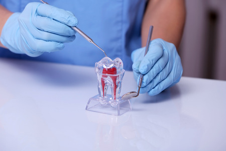 Dentist working with artificial tooth in laboratoryの写真素材