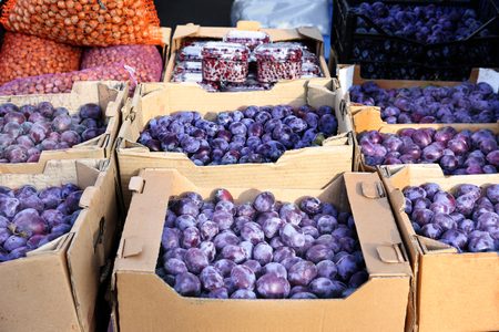 Fresh plums in cardboard boxes on marketの写真素材