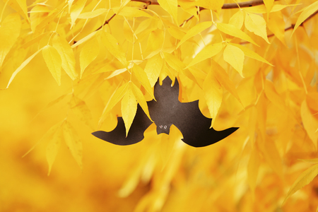 Paper bat hanging on  a tree. Halloween concept