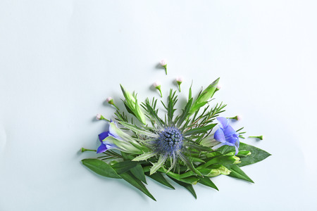 Composition of flowers and leaves on white background